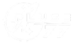 pluse77 เดิมพันสุดพลัง ร่ำรวยในพริบตา ฝากถอนไว ไม่มีขั้นต่ำ